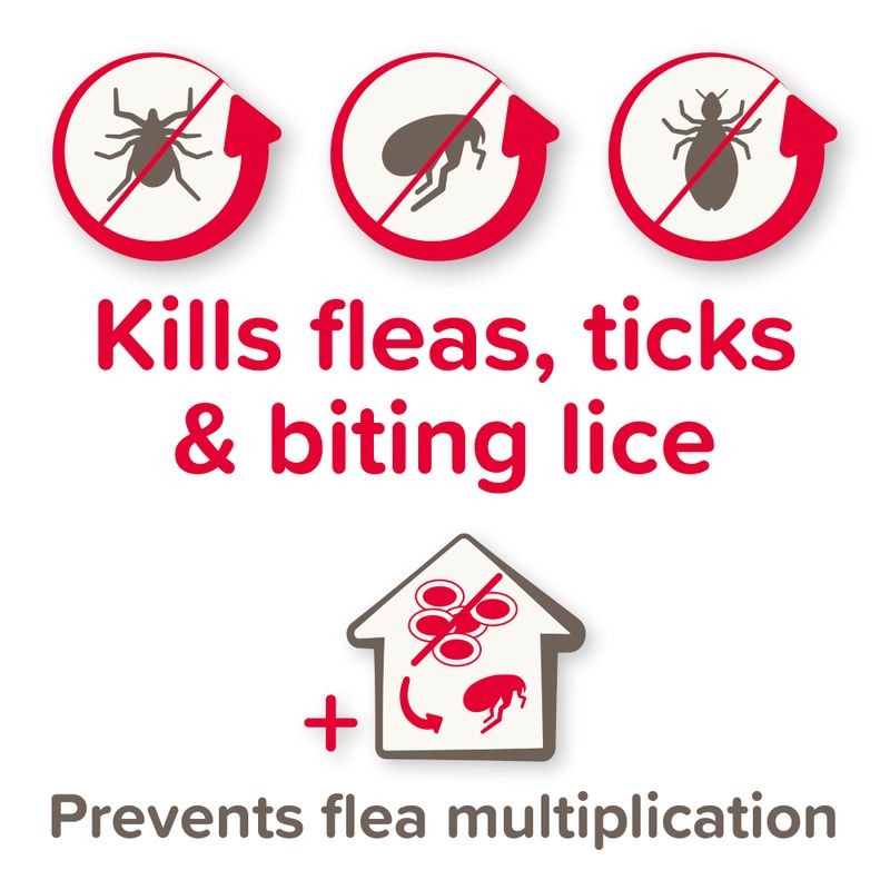 Kills fleas, ticks and biting lice. Prevents flea multiplication.