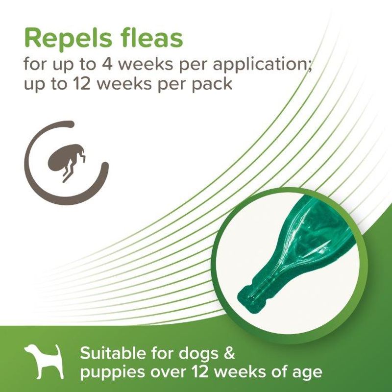 beaphar VETOpure Plant-Based Protection Flea Spot-On for Dogs (<15kg) || beaphar || view 5