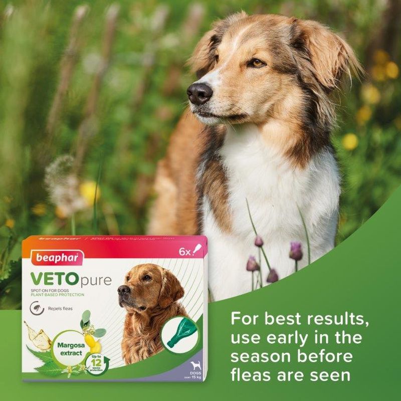 beaphar VETOpure Plant-Based Protection Flea Spot-On for Dogs (>15kg) || beaphar || view 7