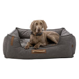 Grey dog bed with rope handle and leather details, rectangular shape. Brand name BeeNordic visible on the side.