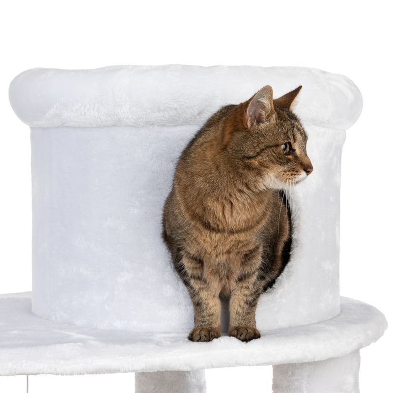 Brown cat sitting in a white scratching post with a round cave, looking to the right.