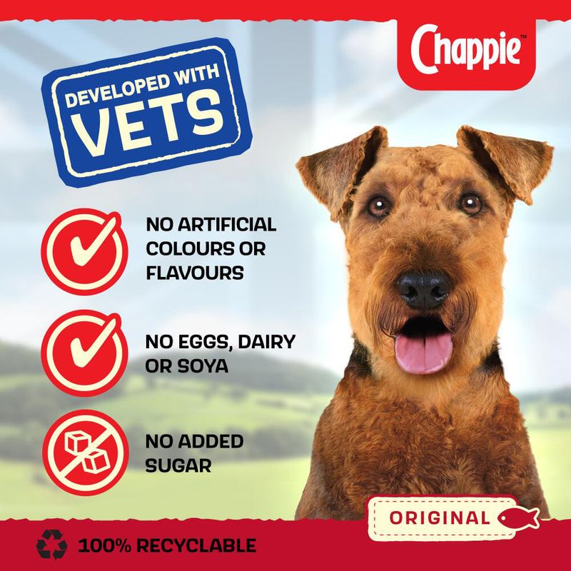 Chappie Original || Chappie || view 6
