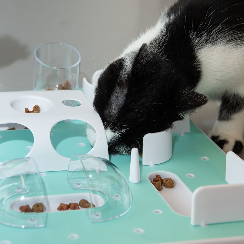 Black and white cat using interactive feeding toy with various openings and containers, filled with dry food.