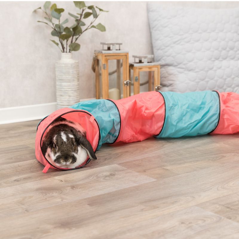 Toy tunnel in red and blue, suitable for small pets. Rabbit sitting in the tunnel on a wooden floor.