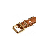 Close-up of a brown leather collar with gold-coloured metal buckle and rings, showing stitching and rivet details.