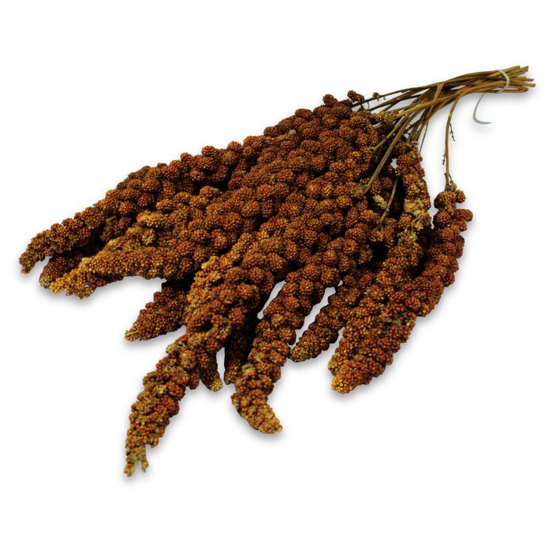 JR Farm Red Foxtail Millet || undefined || view 2