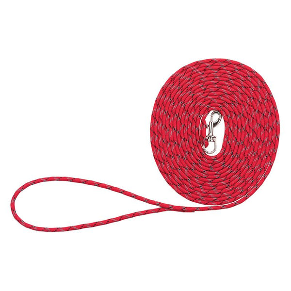 Red dog lead with silver carabiner hook, braided design.