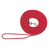 Red dog lead made of braided material with silver-coloured snap hook and hand loop, length visibly rolled up.