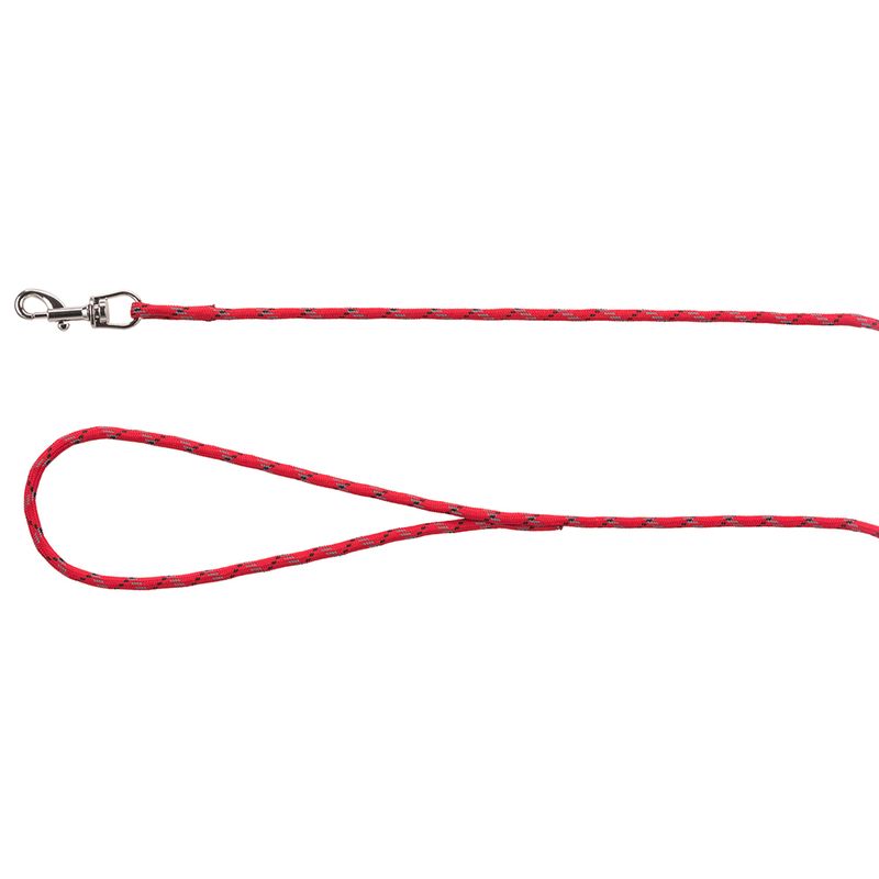 Red dog lead with loop and silver carabiner, made of braided material.