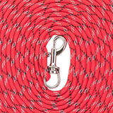 Red dog lead with check pattern and silver metal snap hook.