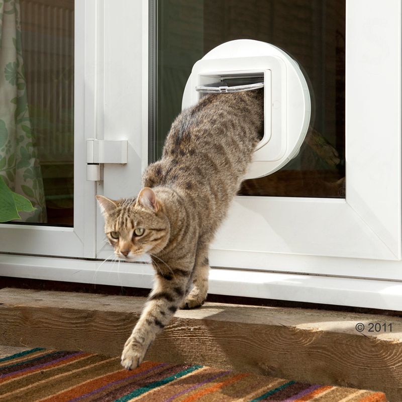 SureFlap Microchip Cat Flap || SureFlap || view 3