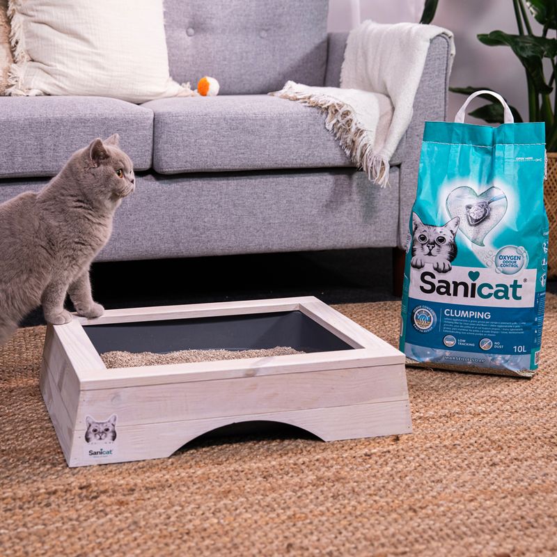 Sanicat Clumping cat litter, 10L pack next to a wooden cat toilet with grey insert. Cat standing beside it on carpet.