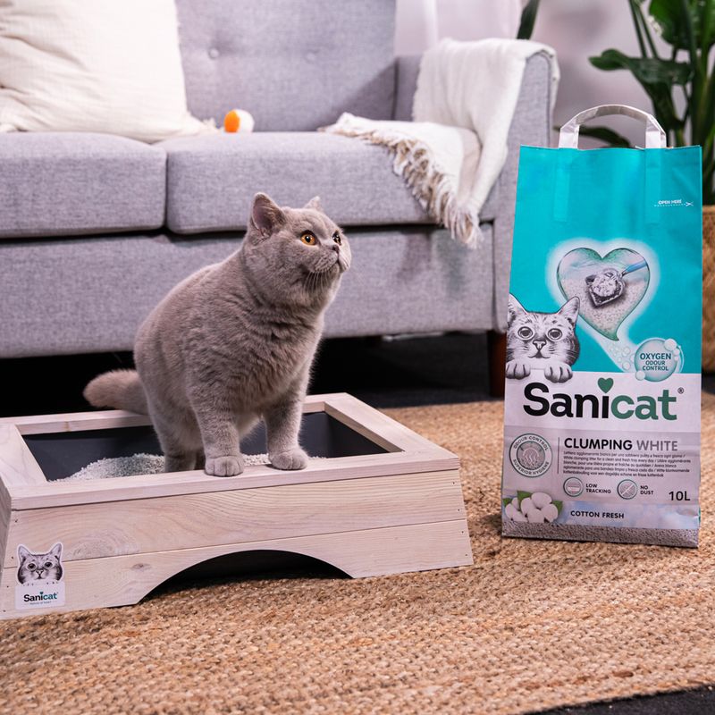 Sanicat Clumping White cat litter, 10L, with Oxygen Odor Control and Cotton Fresh scent. Cat stands on wooden litter tray next to the packaging.