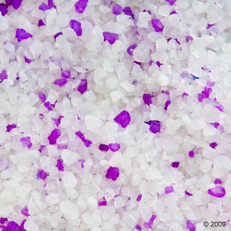 Close-up of white and violet crystals, possibly cat litter or similar granules.