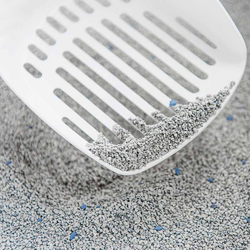 Intersand Classic Baby Powder Scented Cat Litter || undefined || view 3