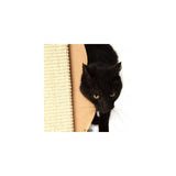 Black cat next to a scratching board made of sisal and wood. Product shows use of a scratching post.