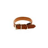 Adjustable brown leather collar with metal buckle and D-ring, shown coiled to display fastening and stitching details.
