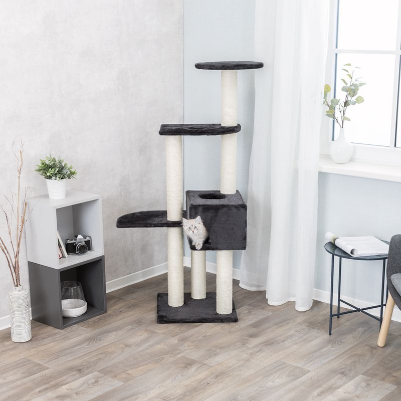 Cat tree with four levels, sisal posts and a cave. Small cat sitting in the cave.