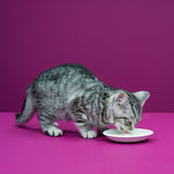 Whiskas Cat Milk 6 x 200ml || undefined || view 3