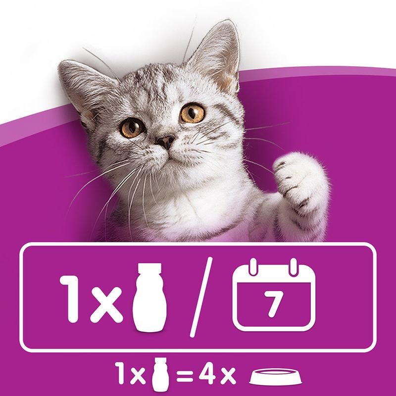 Whiskas Cat Milk 6 x 200ml || undefined || view 4