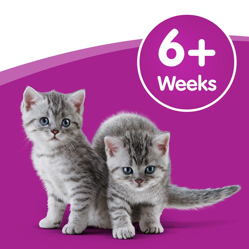 Whiskas Cat Milk 6 x 200ml || undefined || view 6