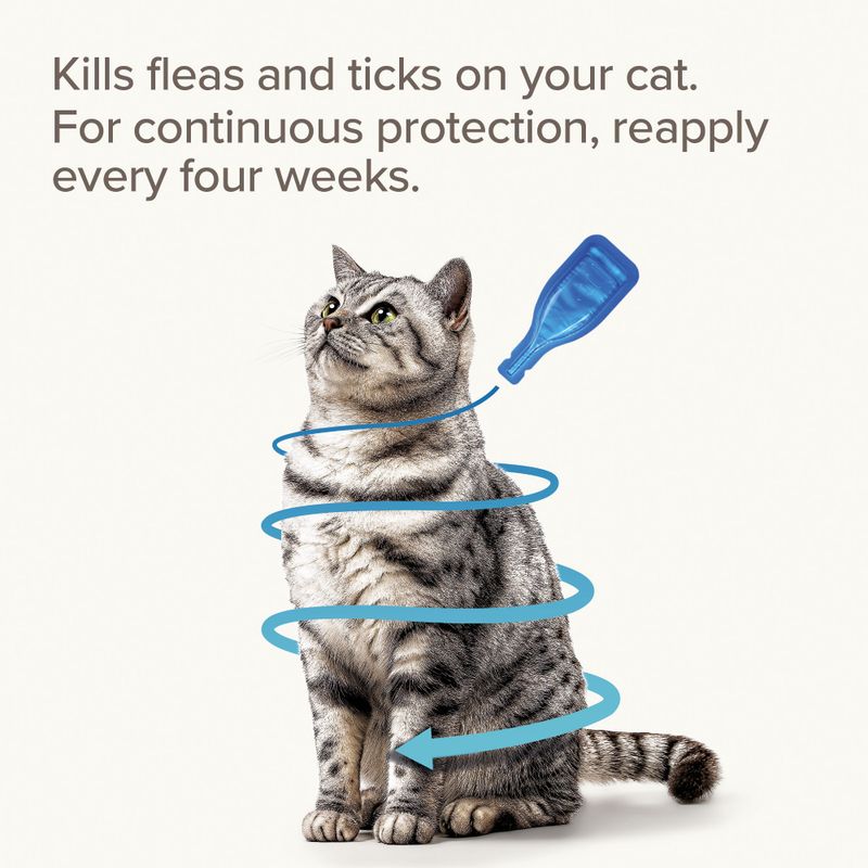 Kills fleas and ticks on your cat. For continuous protection, reapply every four weeks.