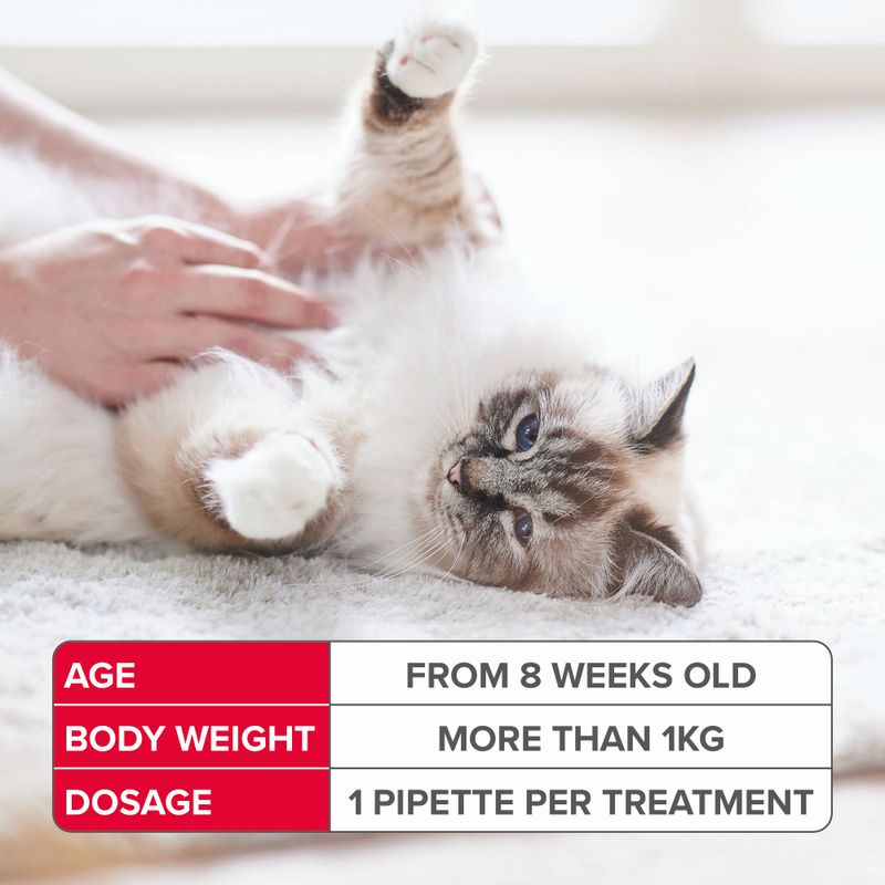 Age: from 8 weeks old, body weight: more than 1kg, dosage: 1 pipette per treatment. Table shown next to a pet being handled.