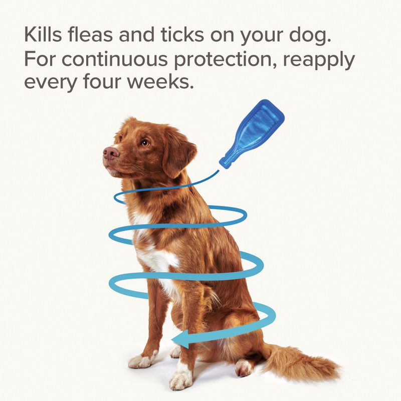 beaphar FIPROtec® Flea & Tick Spot-on For Dogs - L (20-40kg) || beaphar || view 8