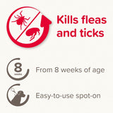 beaphar FIPROtec® Flea & Tick Spot-on For Dogs - XL (>40kg) || beaphar || view 4