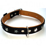 Black leather collar with silver star-shaped studs, metal buckle, and D-ring for attaching a lead. Multiple holes for size adjustment are visible.