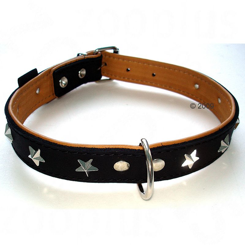 Black leather collar with silver star-shaped studs, metal buckle, and D-ring for attaching a lead. Multiple holes for size adjustment are visible.
