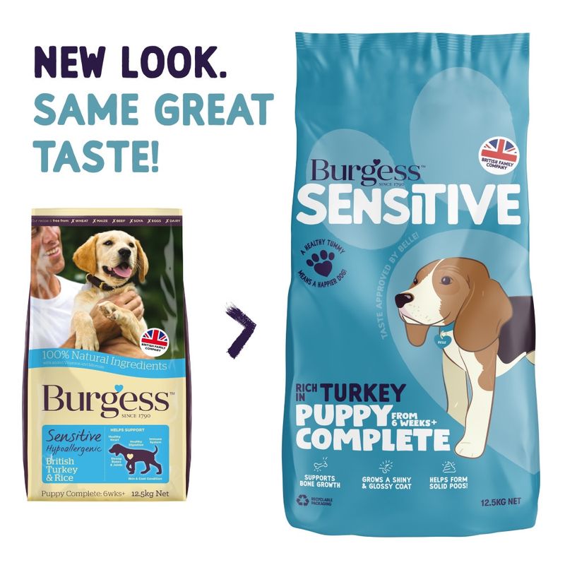 Burgess Sensitive Puppy || Burgess || view 4