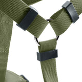 Close-up of a green nylon harness with metal ring and black plastic elements for fastening.