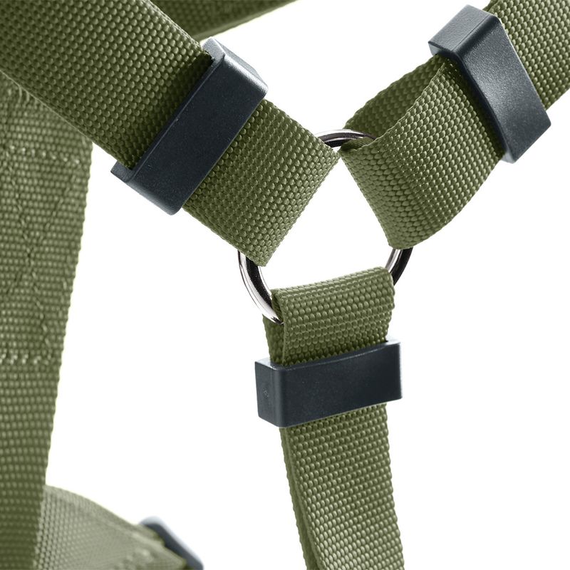 Close-up of a green nylon harness with metal ring and black plastic elements for fastening.