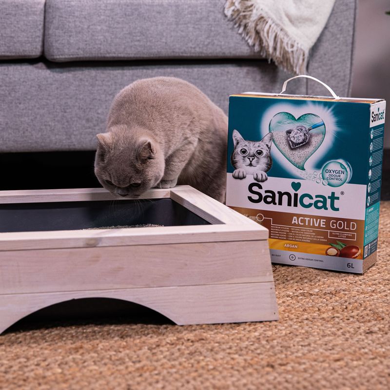 Sanicat Active Gold cat litter with Oxygen Odour Control, 6L pack. Cat inspecting a wooden litter box next to the packaging.