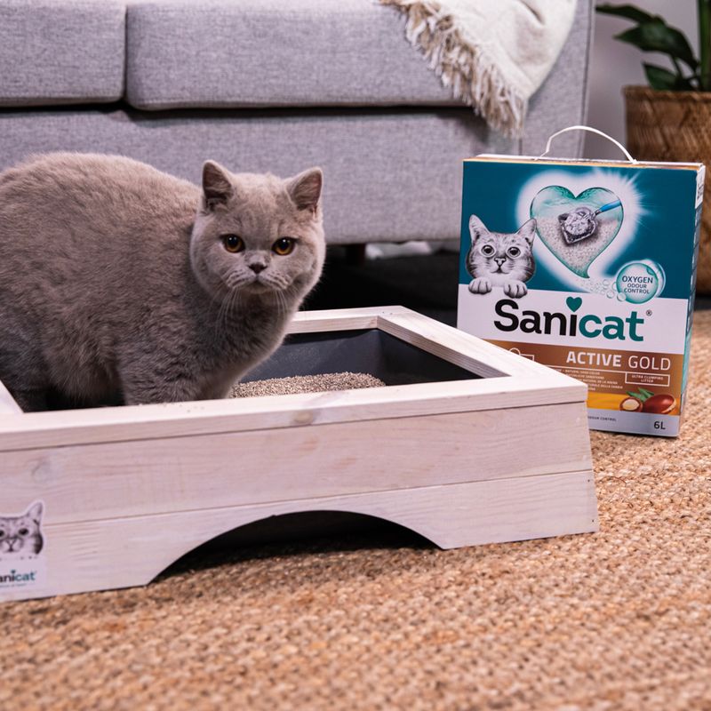 Sanicat Active Gold cat litter, 6L pack. Wooden cat toilet with litter on carpet.