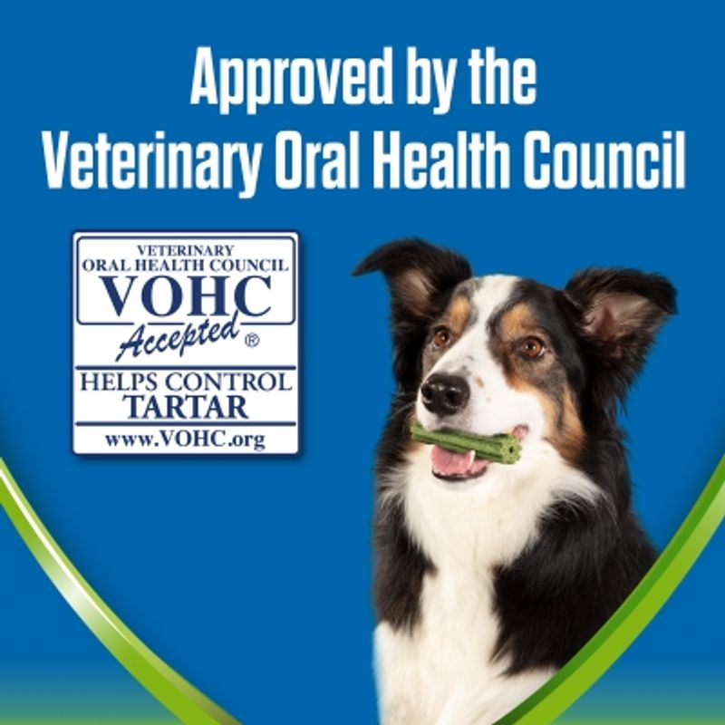 Purina Dentalife ActivFresh Daily Dental Care Snacks for Small Breed Dogs || Dentalife || view 5