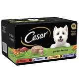 Cesar Garden-Terrine Trays Mixed Pack || Cesar || view 1