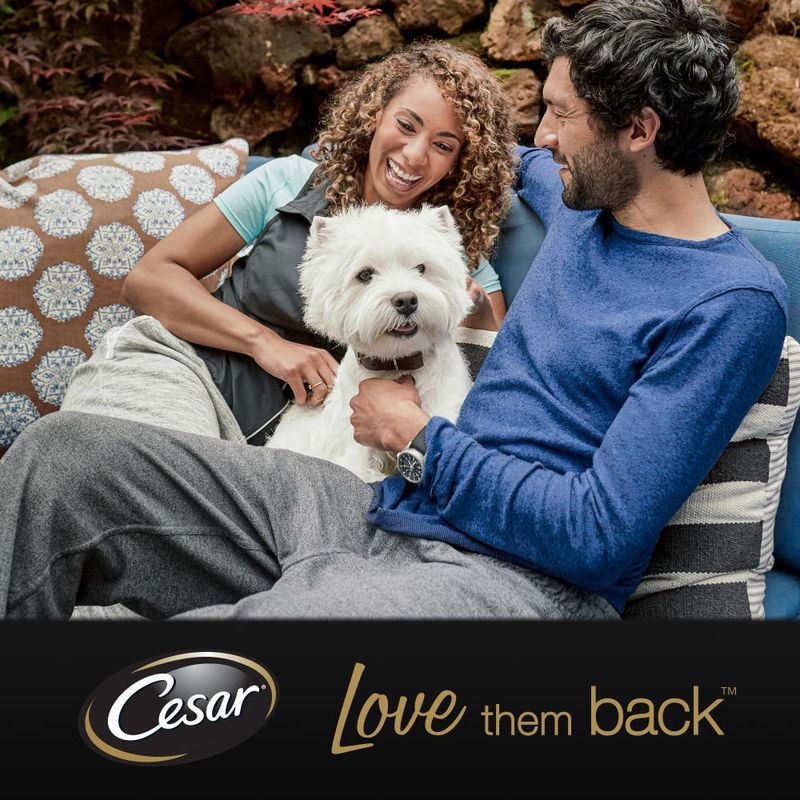 Cesar Senior 10+ Trays Mixed Pack || Cesar || view 7