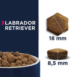 Eukanuba Labrador Retriever Adult || Eukanuba || view 5
