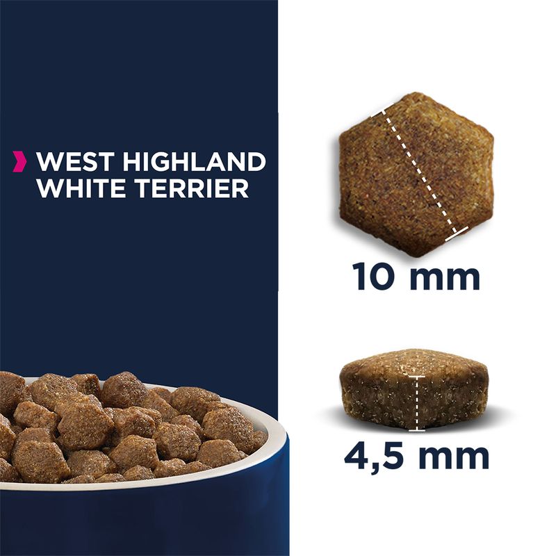 Eukanuba West Highland White Terrier Adult || Eukanuba || view 3