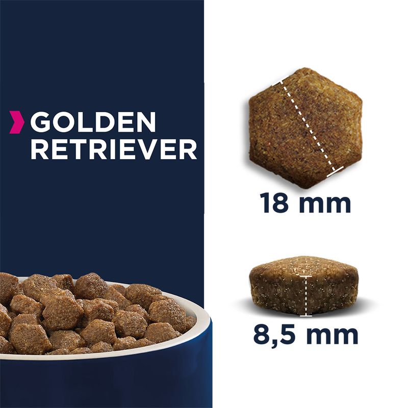 Eukanuba Golden Retriever Adult || Eukanuba || view 5