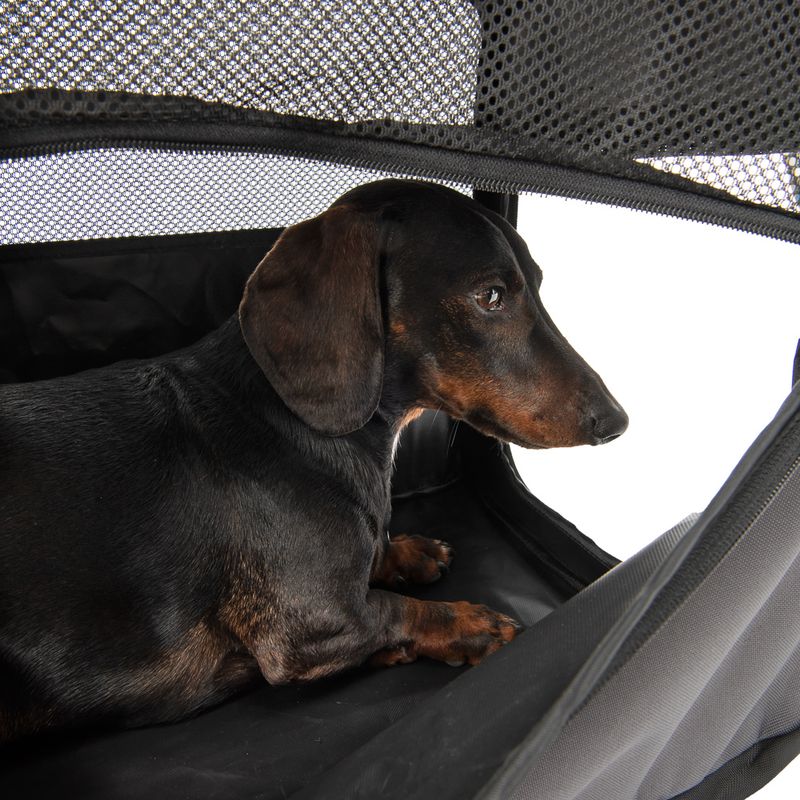 Fiona Collapsible Dog Transport Box || zooplus Exclusive || view 9