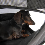Fiona Collapsible Dog Transport Box || zooplus Exclusive || view 9