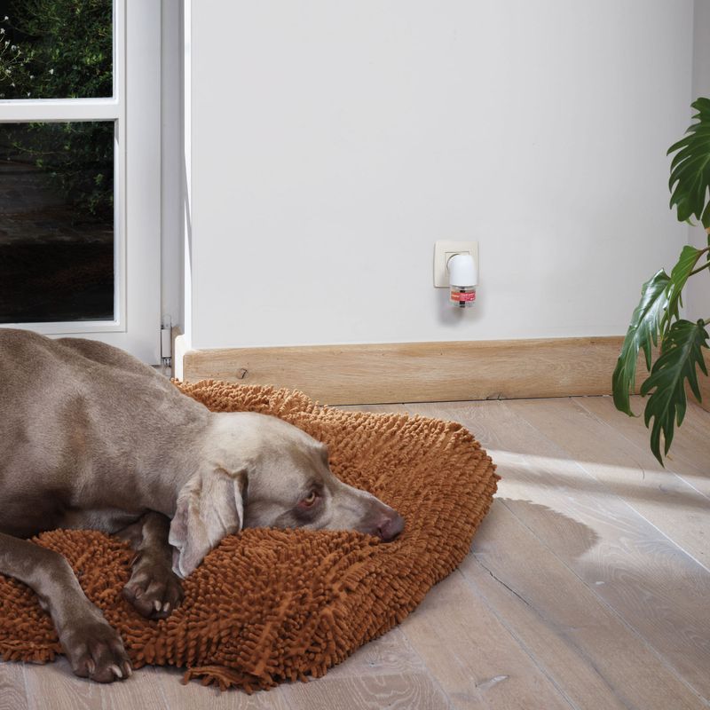 beaphar CaniComfort® Calming Diffuser for Dogs || beaphar || view 10
