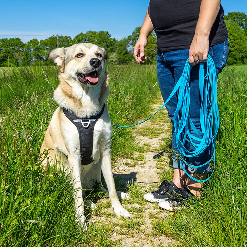 Pawz & Pepper Strong Tracking Line - Blue || Petlando || view 7