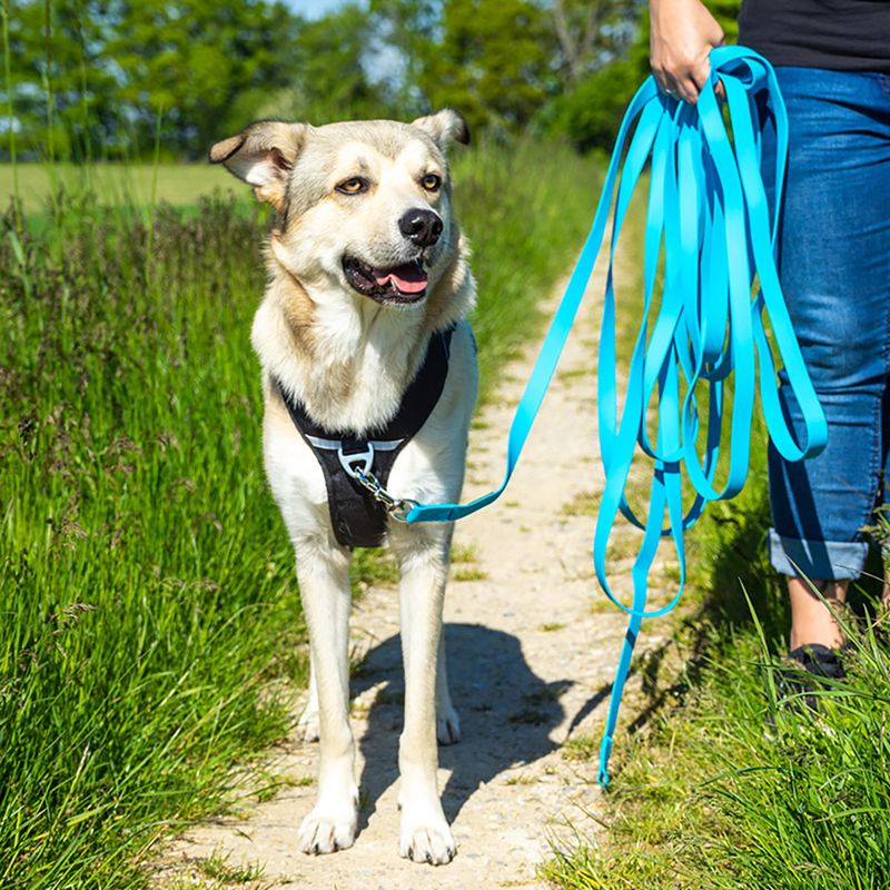 Pawz & Pepper Strong Tracking Line - Blue || Petlando || view 2