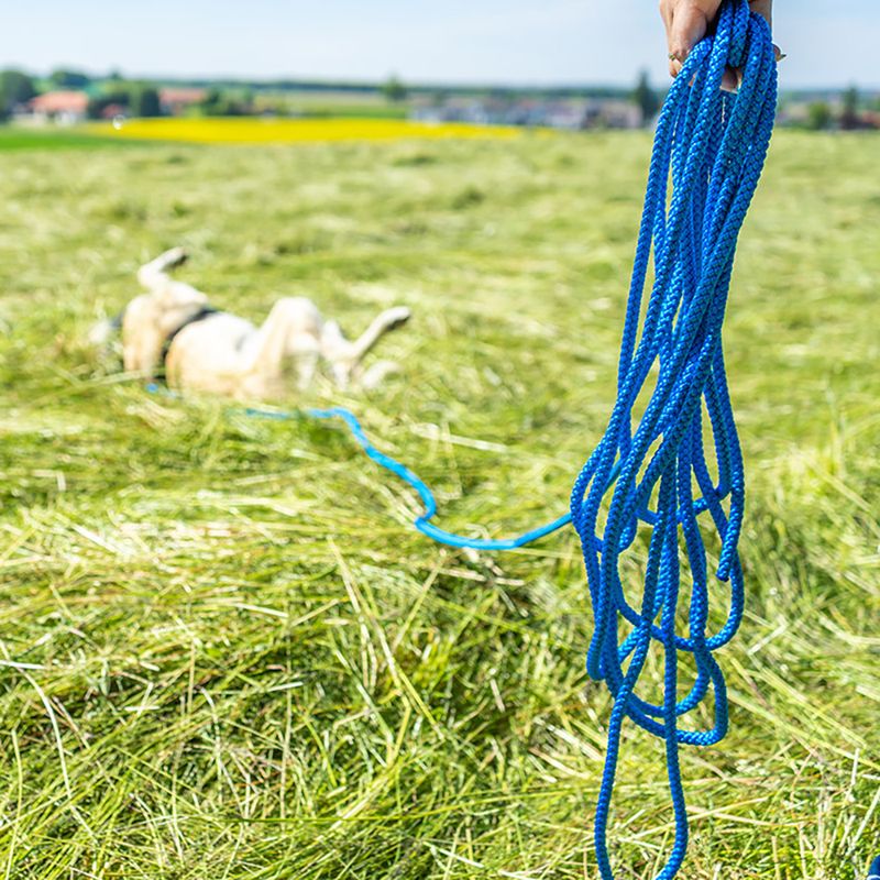 Pawz & Pepper Round Braided Tracking Line - Blue || Petlando || view 3