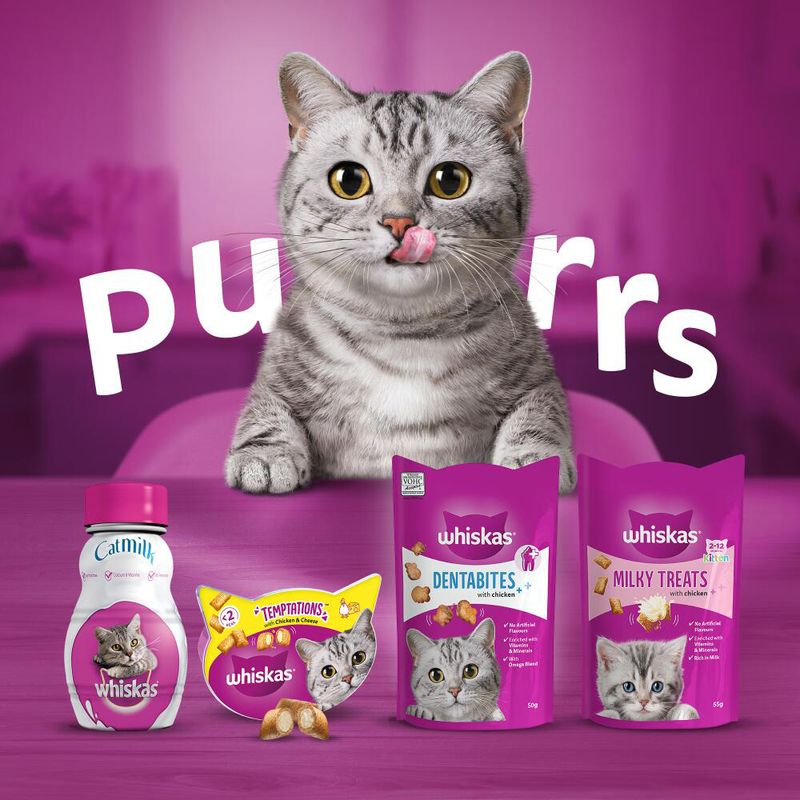 Whiskas Temptations 60g || undefined || view 9