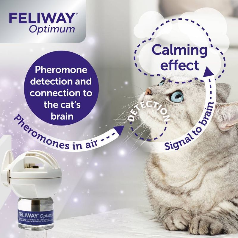 Feliway® Optimum Refill || undefined || view 7